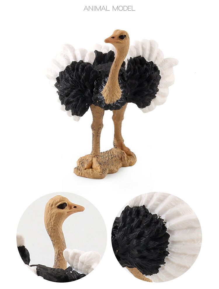 Children's Science and Education Cognitive Bird Model Simulation African Ostrich Solid Bird Farm Static Ornaments PVC Miniature Collection Toys Educational Kids Toy Toys for Boys Toys for Girls