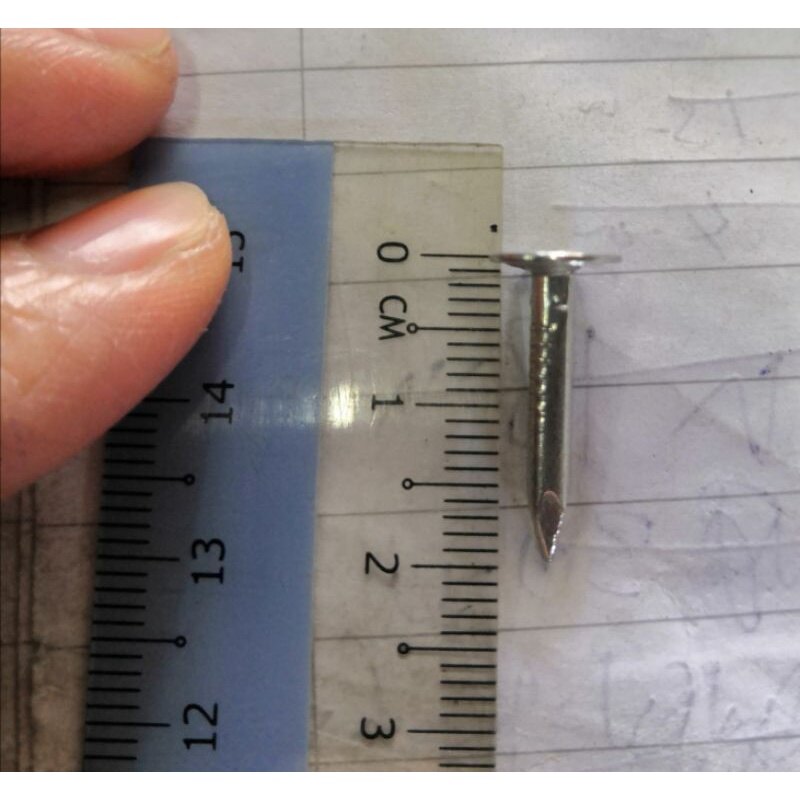 Galvanized Large Flat Head Roofing Nails Clout Nails Paku Kepala Rata Besar | Lazada