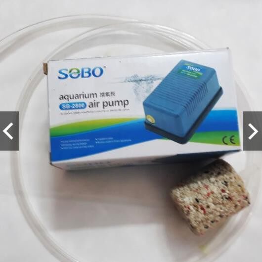Máy Sủi Oxy 1 Vòi Sobo SB-2800 (3W - 3Lít/Phút)
