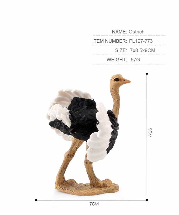 Children's Science and Education Cognitive Bird Model Simulation African Ostrich Solid Bird Farm Static Ornaments PVC Miniature Collection Toys Educational Kids Toy Toys for Boys Toys for Girls