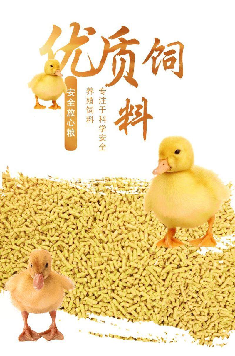 Chicken food, duck feed, duck pet, cole duck, yellow duck, goose, food