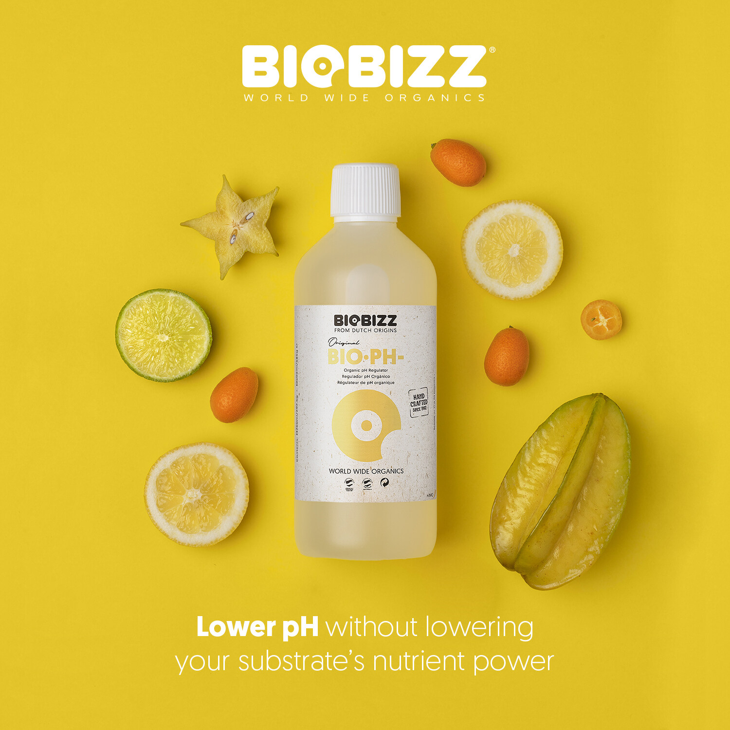 Bio pH 250ml pH Down for soil and coco, Citric Acid Base pH Down, Soil pH Down