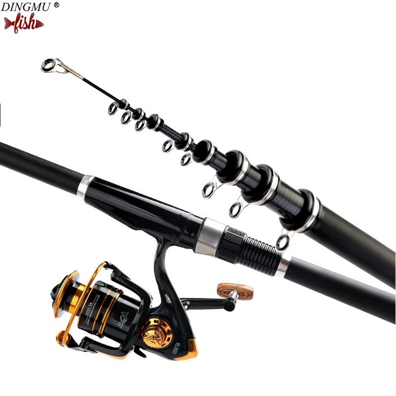 carp rod for sea fishing