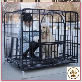 golden retriever cage