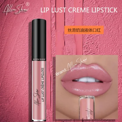 Allen shaw Matte Sexy Waterproof Liquid Lipstick Cosmetics Lips Gloss Long Lasting Lips Colors