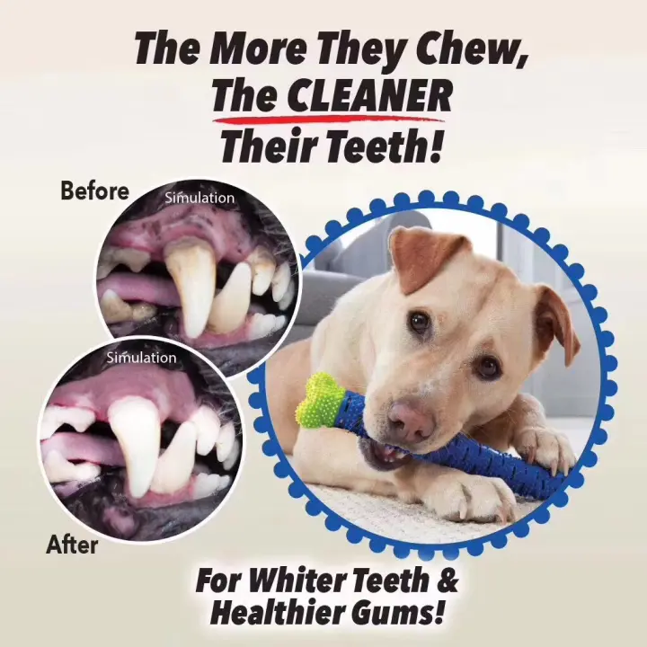 self brushing toothbrush for dogs