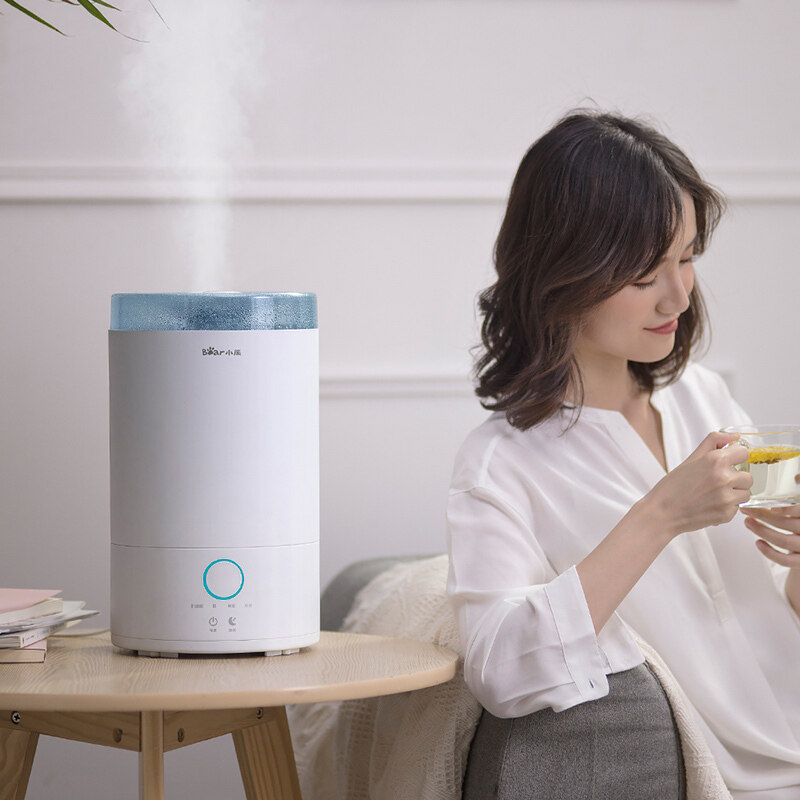 Bear Humidifier Home Mute Bedroom Pregnant Woman Baby Large-capacity Mite Sterilization Air Purification Add Water Singapore