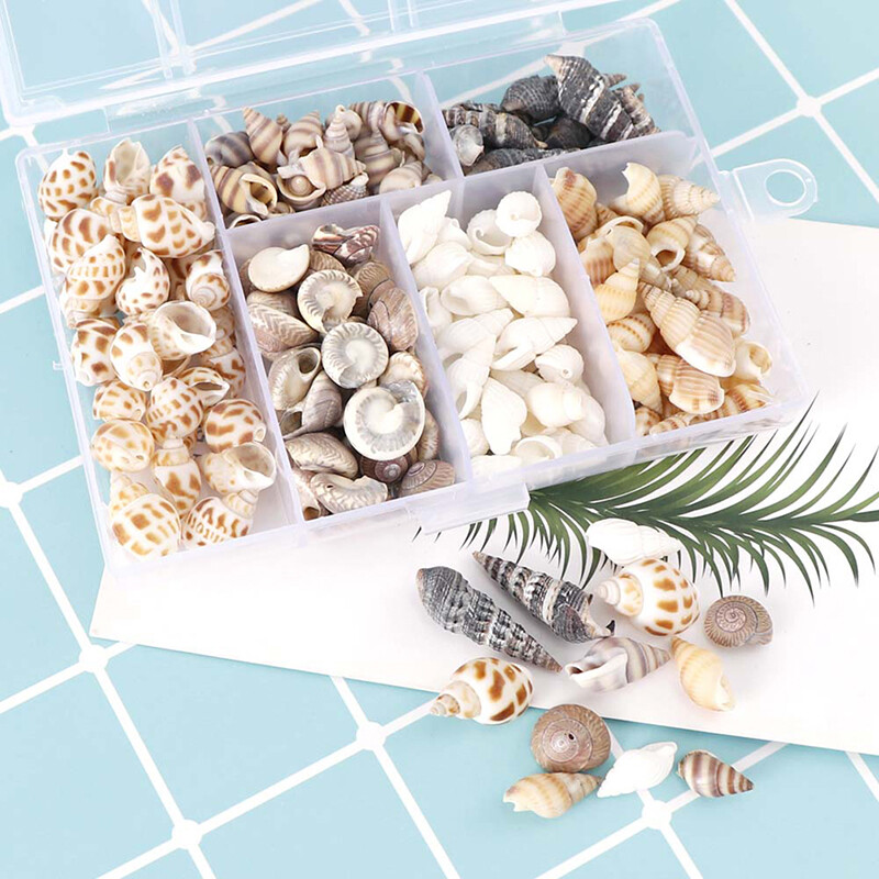 QIA About 100Pcs/Box Natural Conch Shells Aquarium Landscape Seashells Crafts Decor
