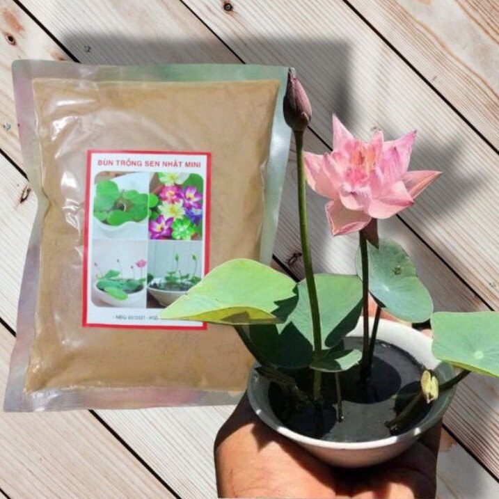 Bùn Khô Trồng Sen-Súng Mini Gói 200 Gram