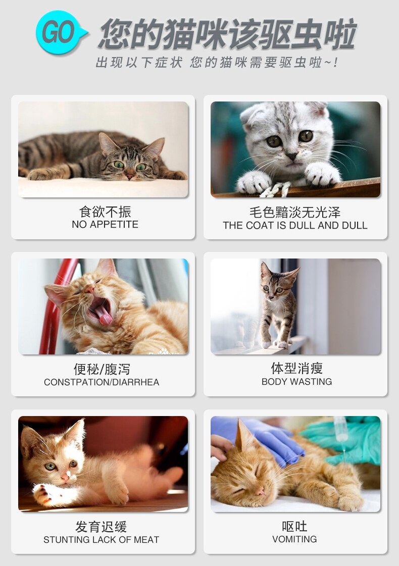 Remy high cat deworming medicine fenbendazole tablets pet kitten inside and outside the body