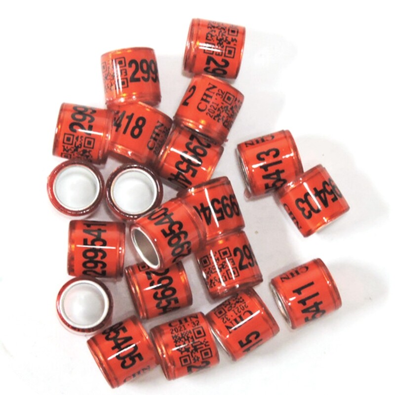 50 Pcs Multi-colored pigeon ring with identification number, 8 mm diameter, 11 mm height