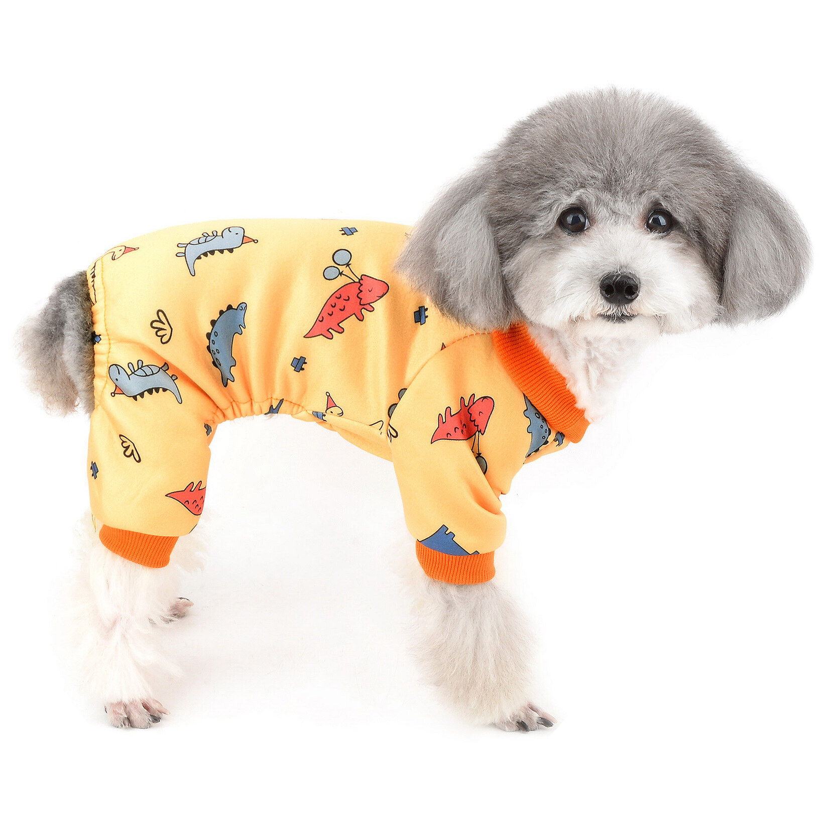 Dinosaur Print Fleece Pajamas for Small 
