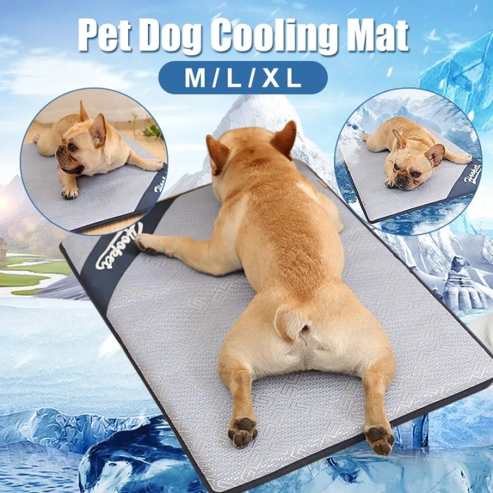 summer dog bed