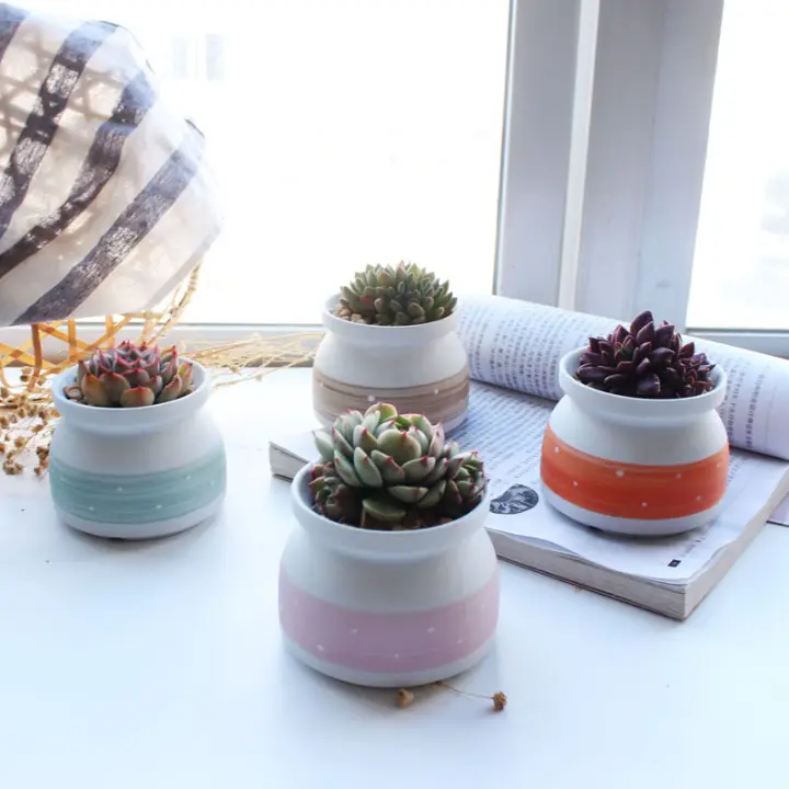 4pcs 1 Set Milk Bottle Series Ceramic Succulent Plant Pot Small Fresh Color Small Hand Painted Flower Pots Lazada Ph