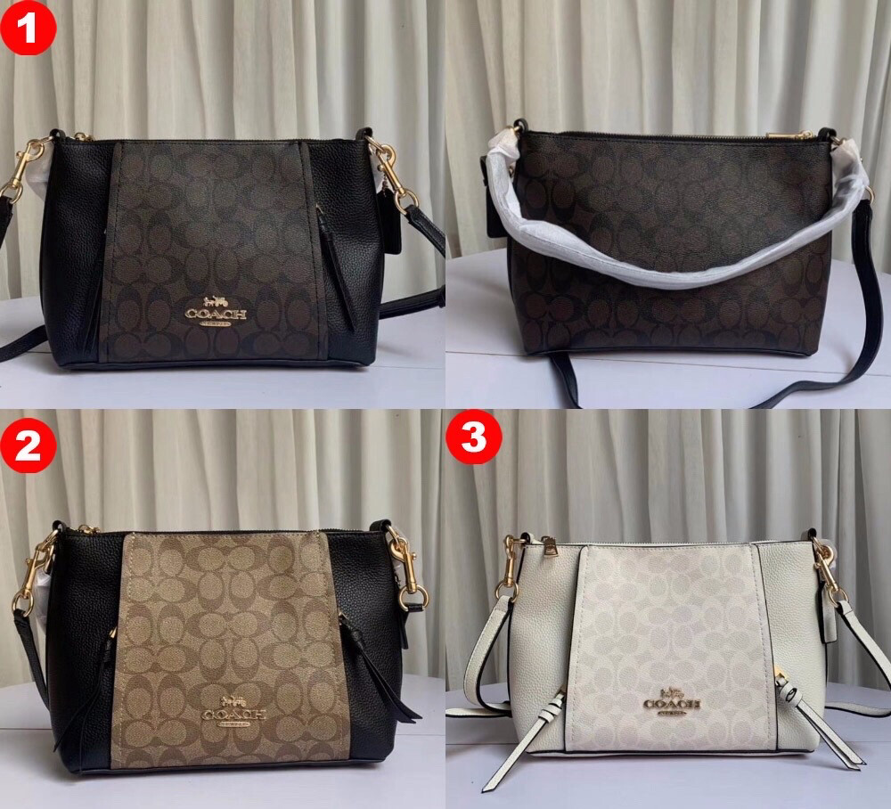 coach marlon hobo small