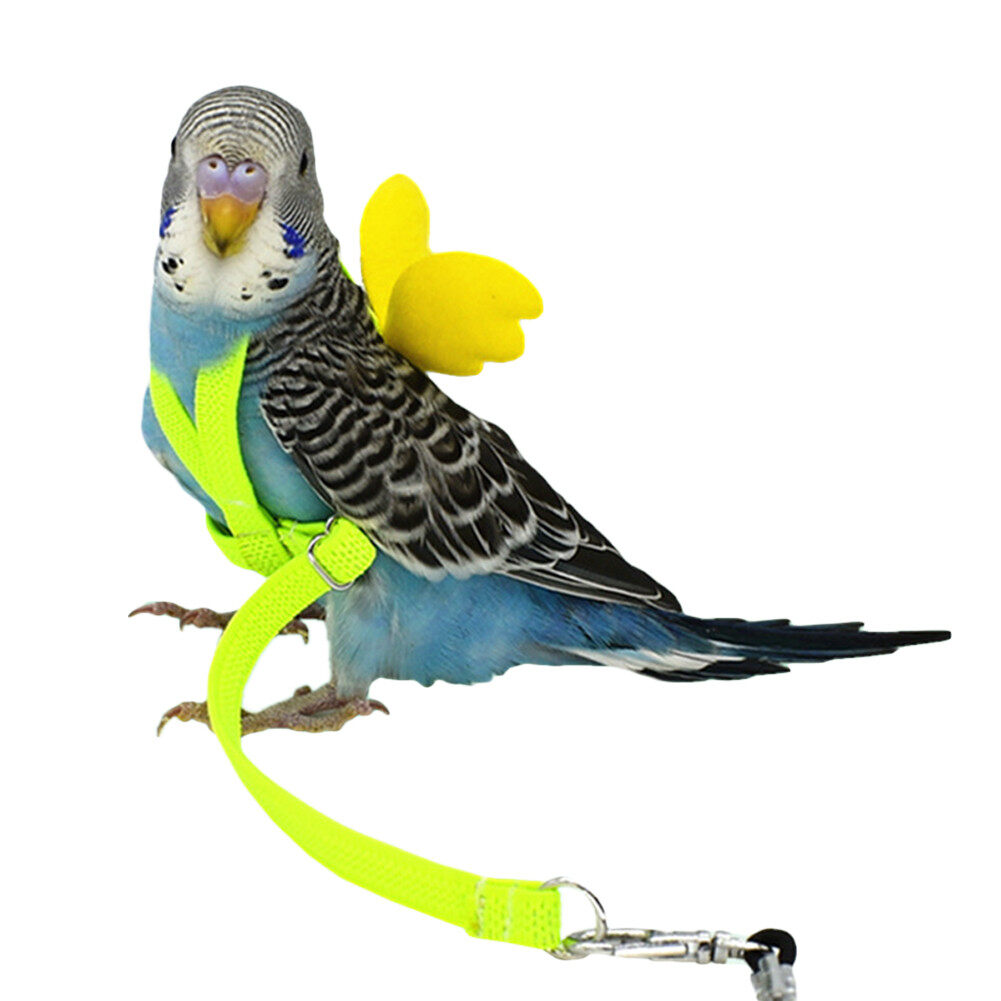 Bird Training Outdoor Carrying Parrot Harness and Leash Flying Anti-bite Traction Rope for Psittacus Erithacus Scarlet Macaw Parrots Birds Pet Bird Harness and Leash