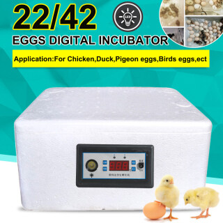Máy ấp trứng kỹ thuật số 22 32 42 trứng thumbnail