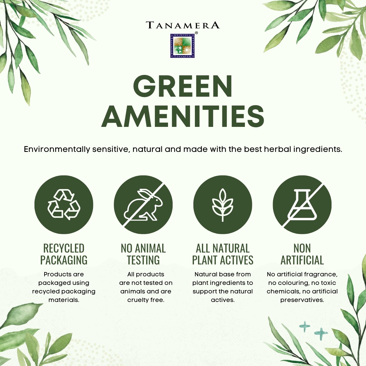 Tanamera Orked Weekend Spa Kit | Lazada