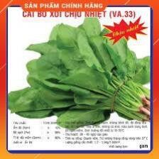 Hạt giống cải bó xôi chịu nhiệt gói 20g