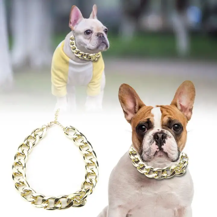 gold chain collar for small dog