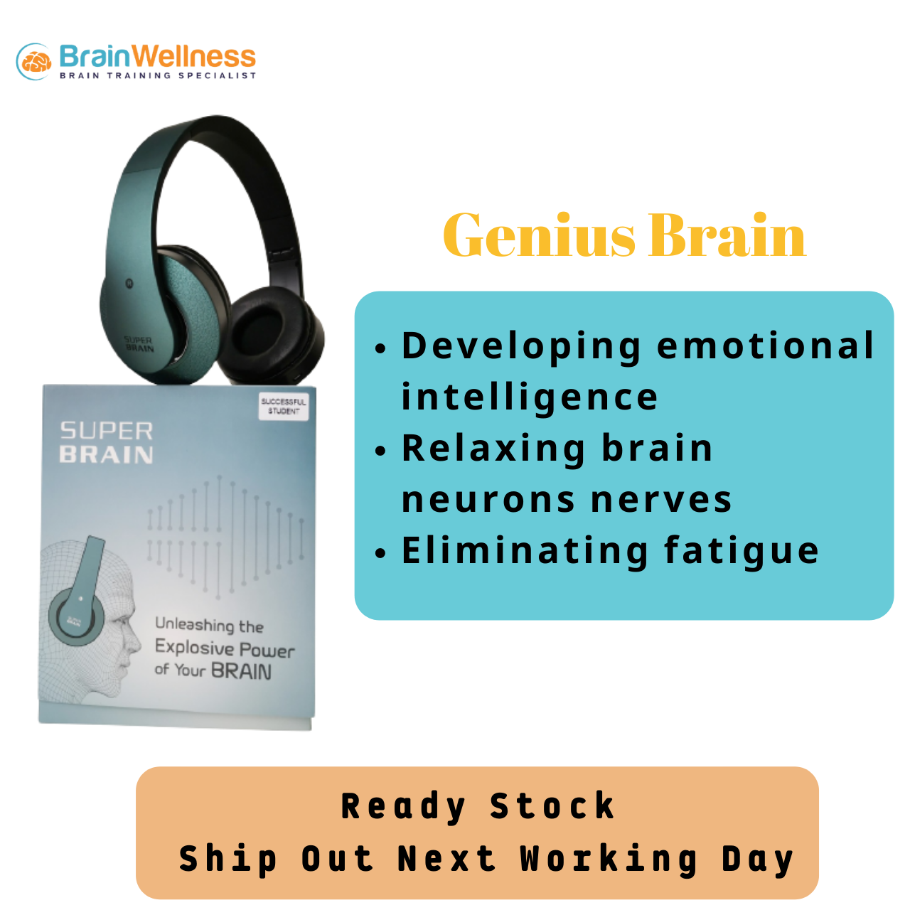 Genius Brain Music Therapy Headphone (Genius Brain 音频科技音乐耳机) Lazada