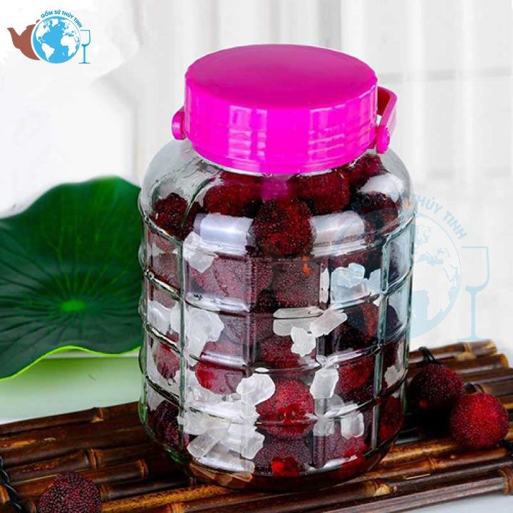 [HCM]Bình Ngâm Rượu Thủy Tinh 10 Lít Quai Xách - Không Van