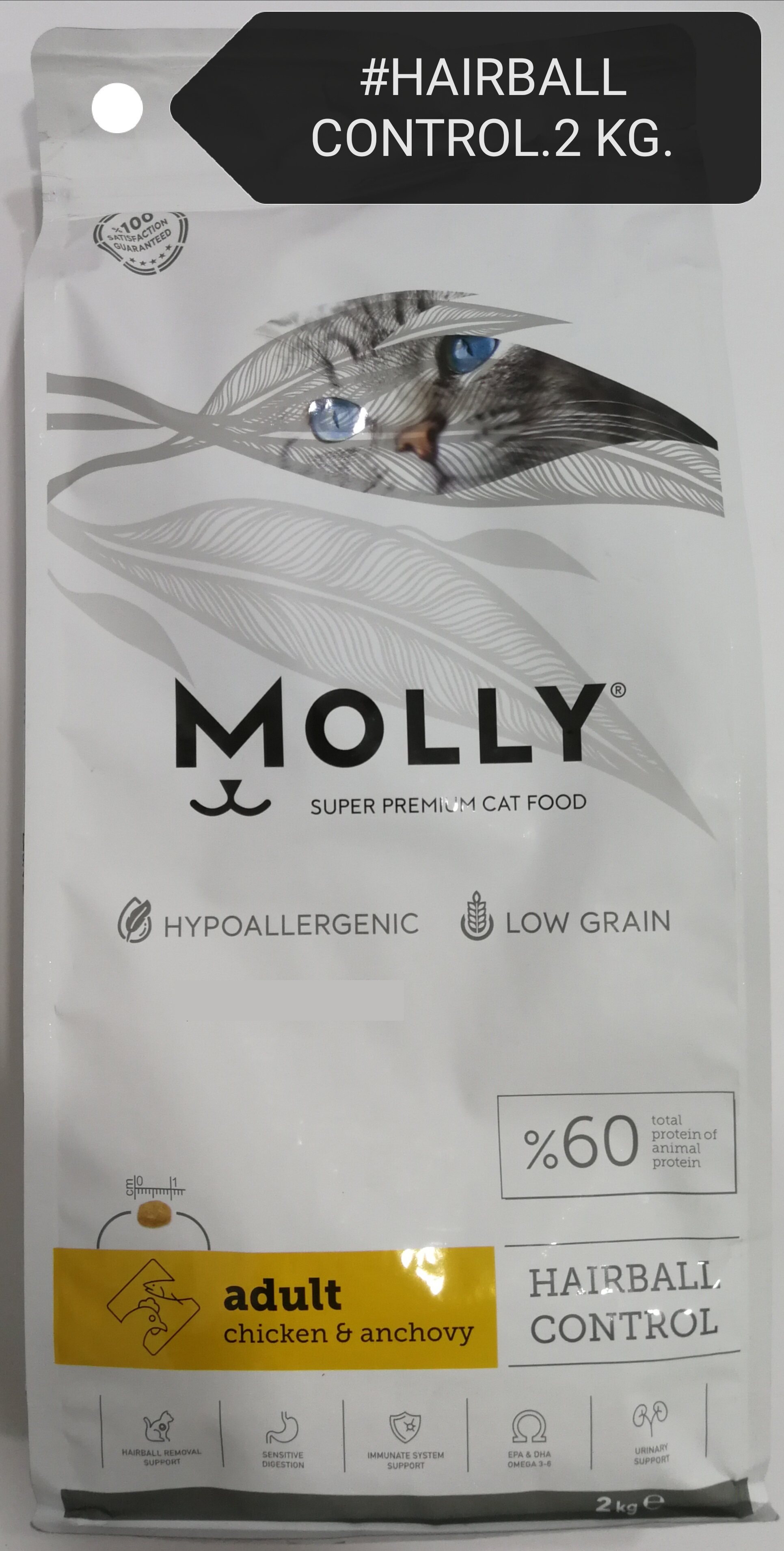 Molly hot sale cat food