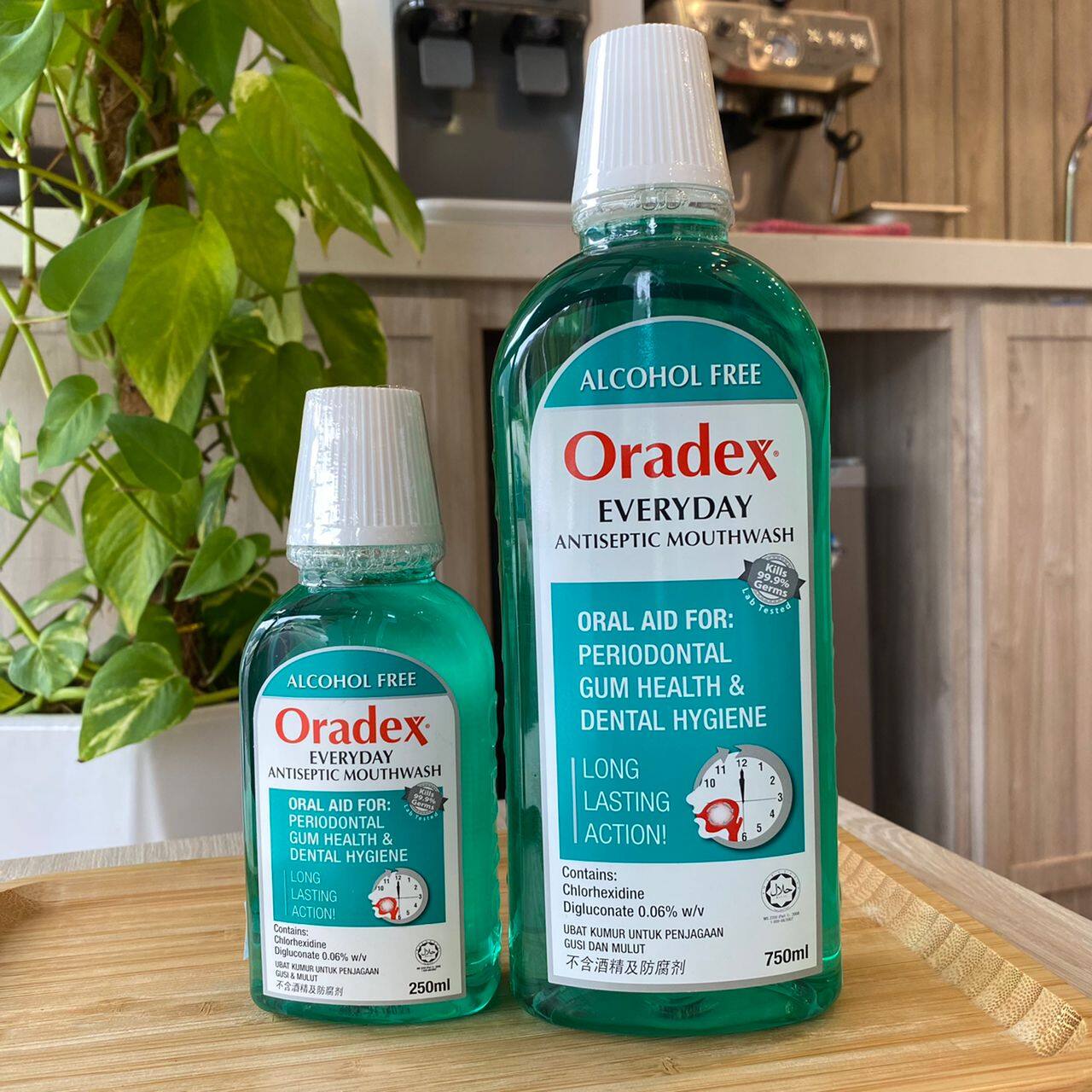ORADEX EVERYDAY ANTISEPTIC MOUTHWASH 250ML / 750ML Lazada
