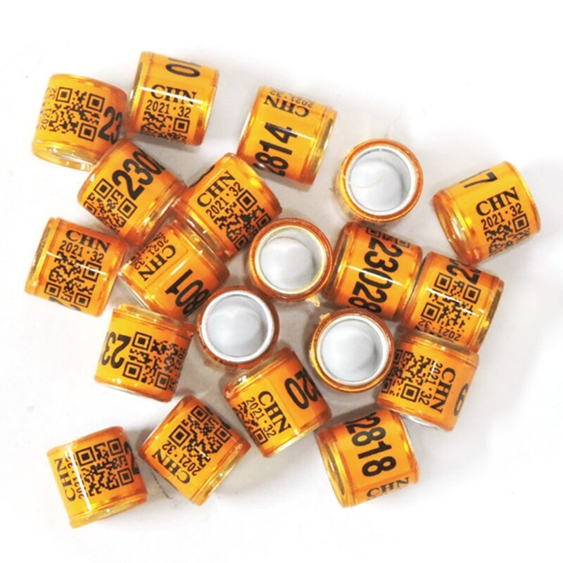 50 Pcs Multi-colored pigeon ring with identification number, 8 mm diameter, 11 mm height
