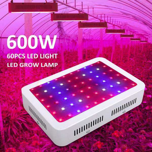 600 W Suốt UV IR 60 LED Thủy Canh Vật Có Veg Phát Triển Đèn Trong Nhà Đèn Bộ