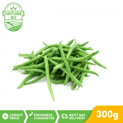 Fresh Vegetable - French Bean (300G+-/PKT)