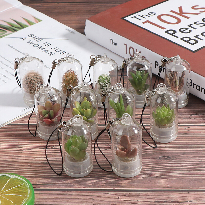 Cumarba แคคตัสขนาดเล็ก Succulent Cacti Terrarium สร้อยคอสวมใส่พืชมีชีวิต2.5*5ซม.