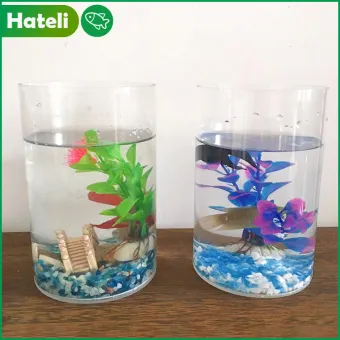 lazada betta fish