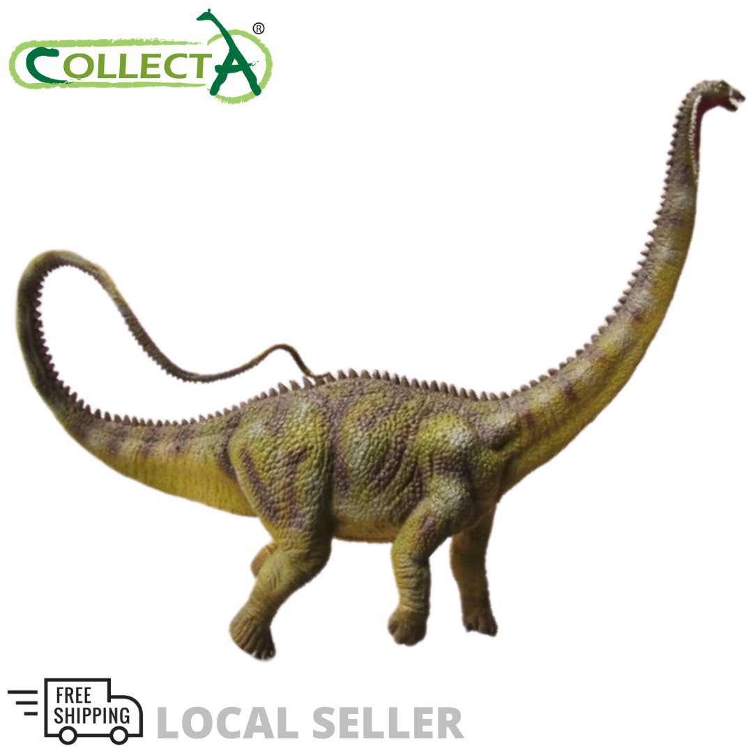 diplodocus collecta