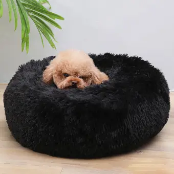 dog bed bag