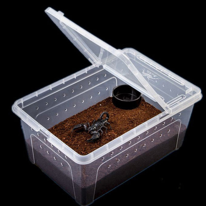 Transparent Plastic Box Insect tile Transport Breeding Live Food Feeding Box