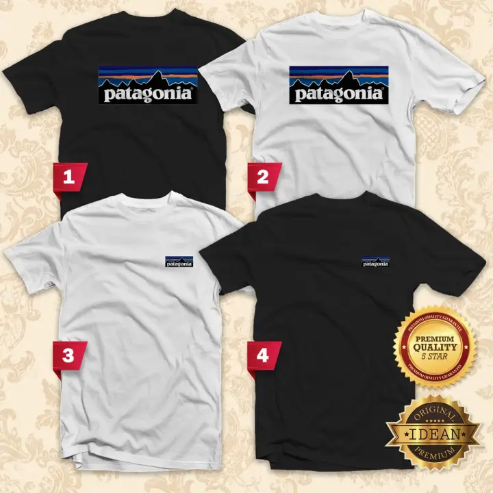 patagonia basic tee