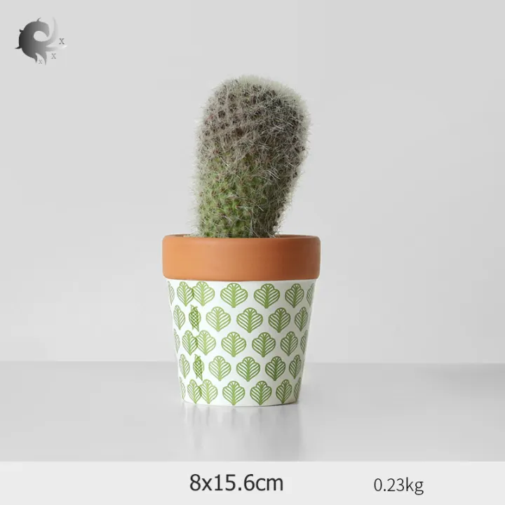 1pcs Simulation Succulent Decorations Ceramic Cactus Decorations Window Potted Decorations High Quality Materials 10 5x28cm Lazada Singapore