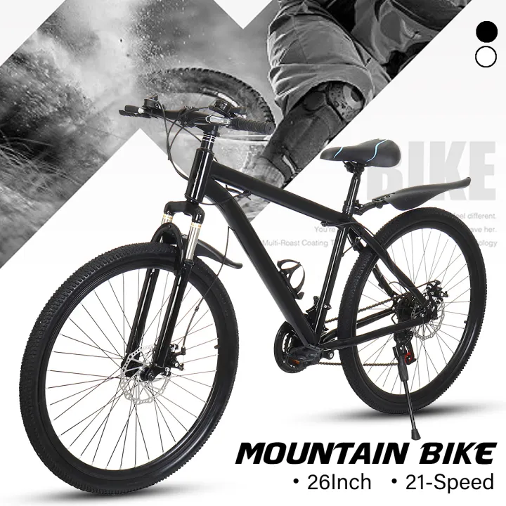 21 speed mountain bike