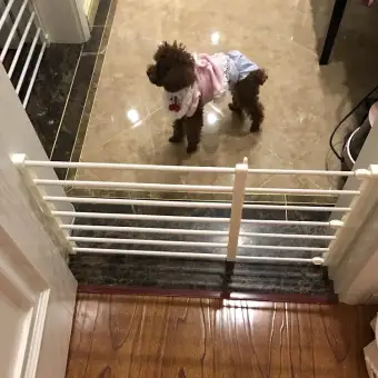 plastic baby gate with door