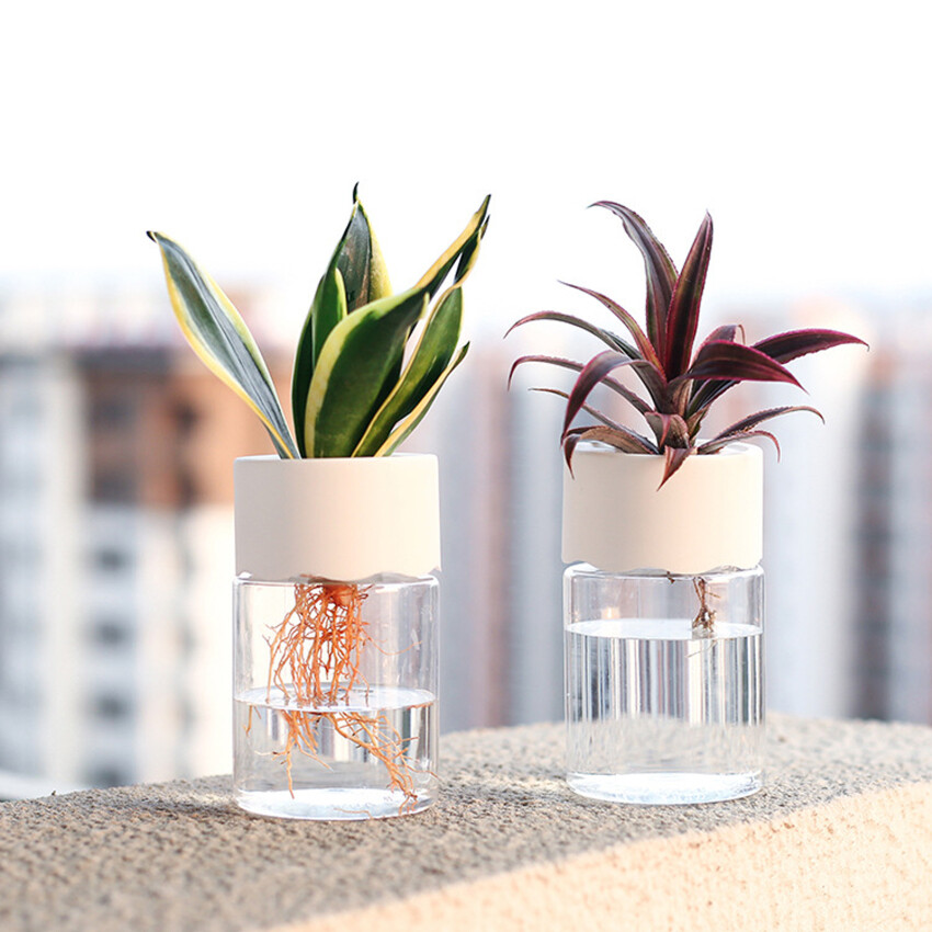 Transparent Hydroponic Flower Pot Water Planting Vase Container Plastic Tabletop Plants Bonsai Home Decoration