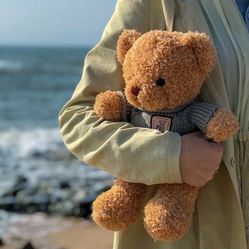 Teddy Bear Plush Toys Dressing Bear Doll Ragdoll Stuffed Animals Cute Plush Toys Doll Toy for Children Birthday Gift Toy for Girls