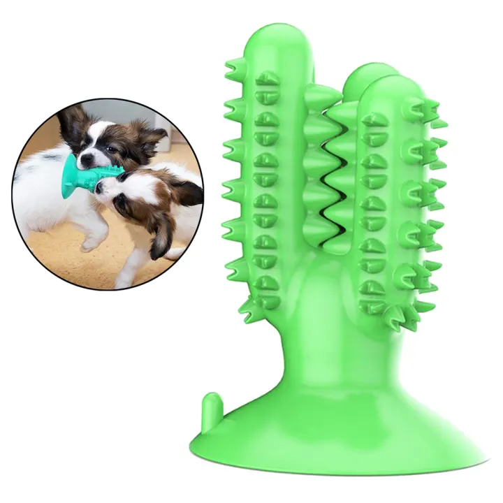 indestructible dog toys for labs