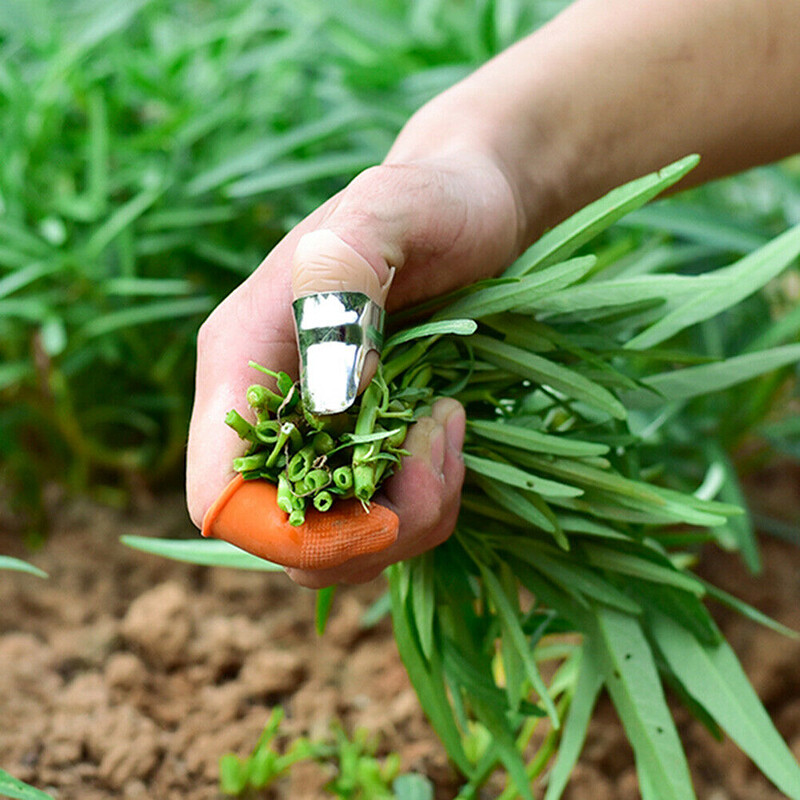 Găng Tay Cắt Kéo Rau Củ Mới Dụng Cụ Làm Vườn Dụng Cụ Bảo Vệ Ngón Tay Dao Ngón Cái