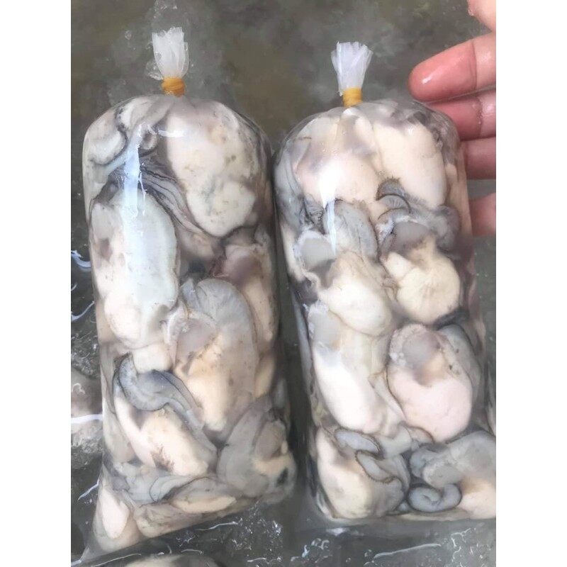 Hào sữa tách vỏ 500g Luôn nước  (giao Hoả tốc tphcm)