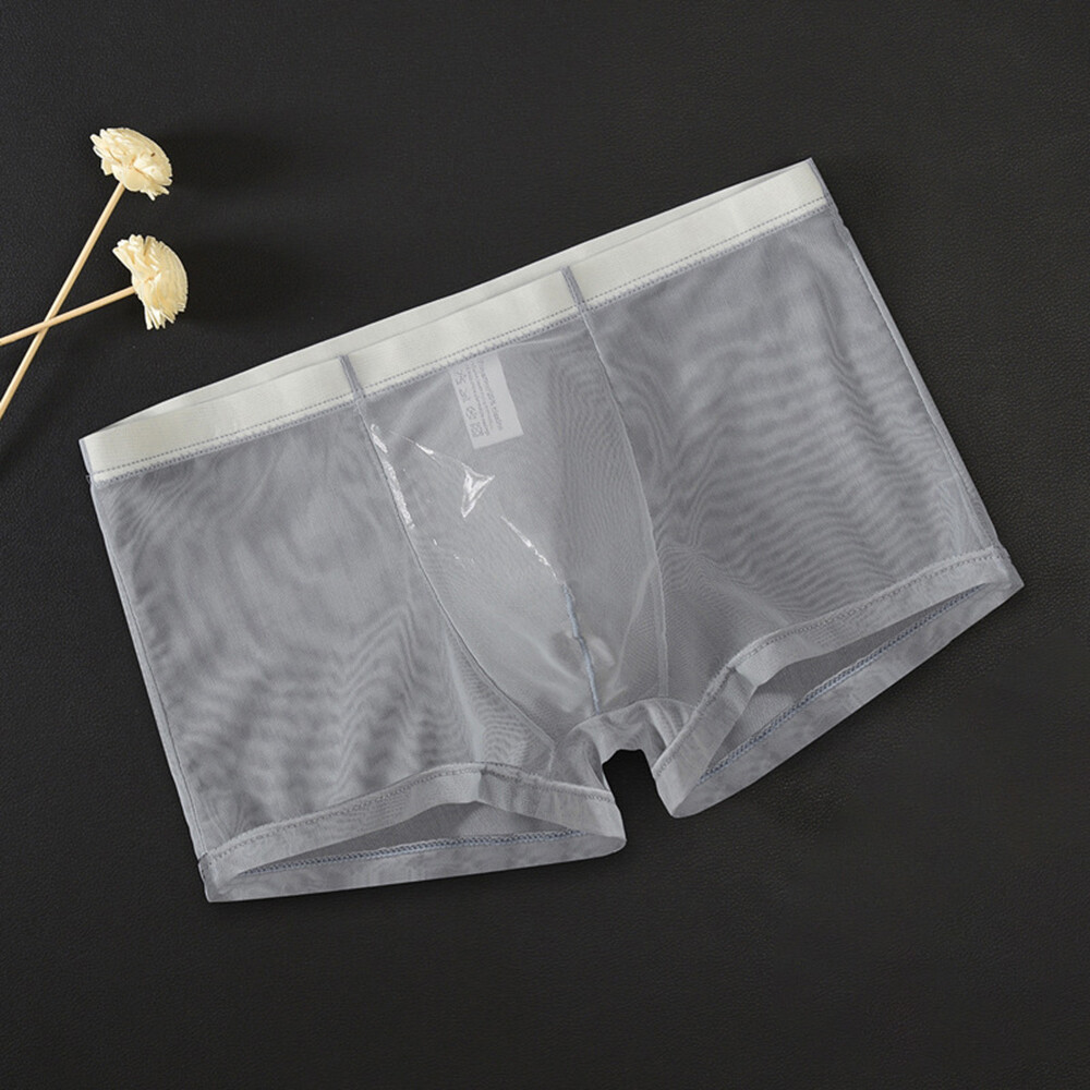 Men's Mesh Boxer Briefs Thin Transparent Underwear Shorts Trunks Underpant