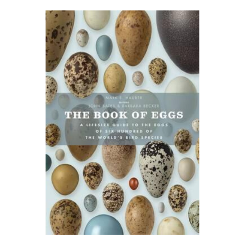 The Book of Eggs Malaysia