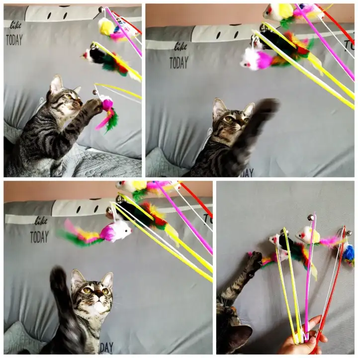 cat toys lazada