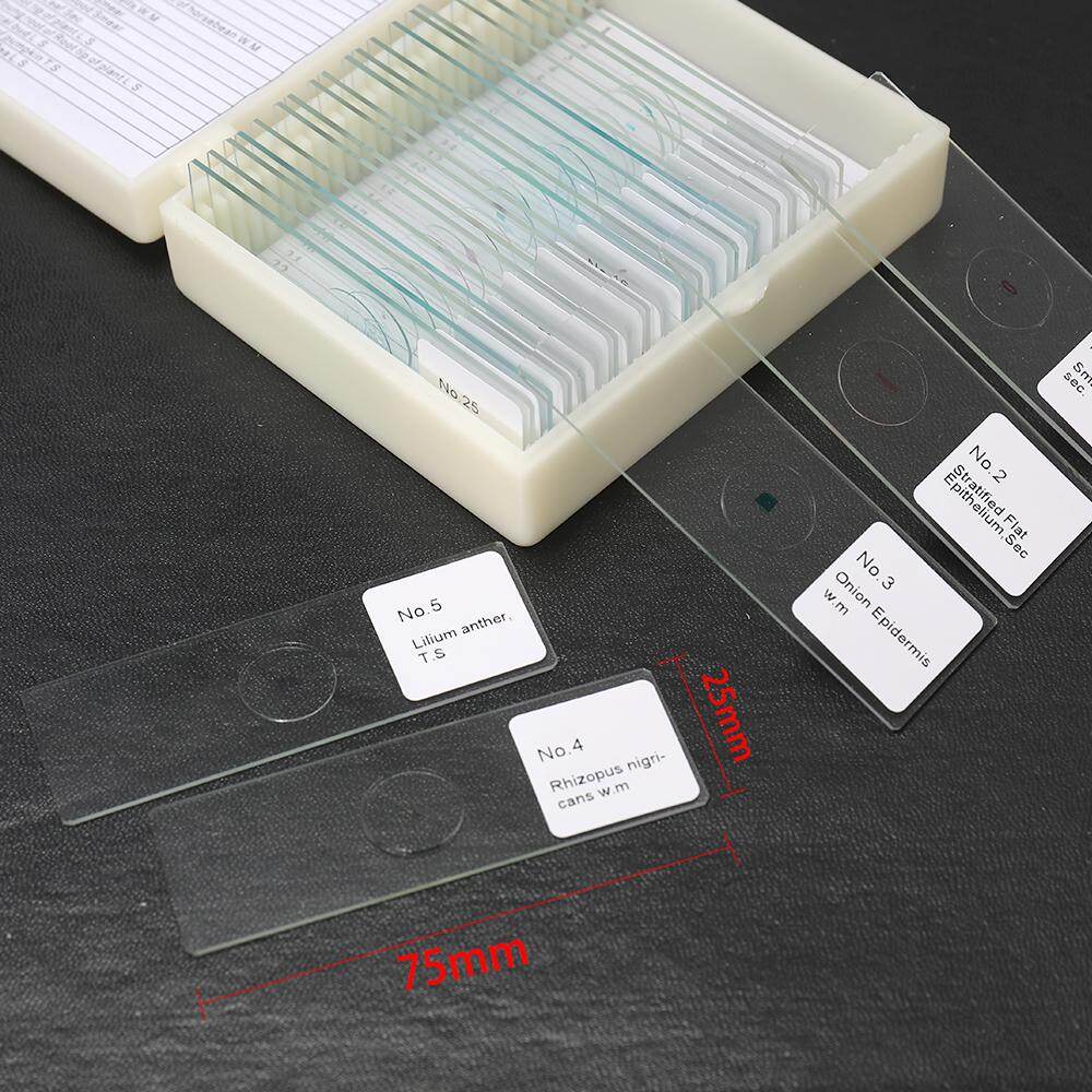 25PCS/Set Biological Glass Sample Prepared Basic Animal Plants Insects Tissues Science Specimen Cover Slips Portable Educational Microscope Slides