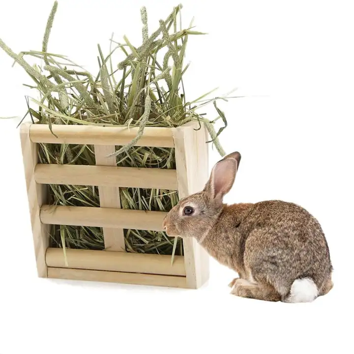 Accieey Rabbit Fodder Hay Feeder Manger Rack Stand Food Bowl